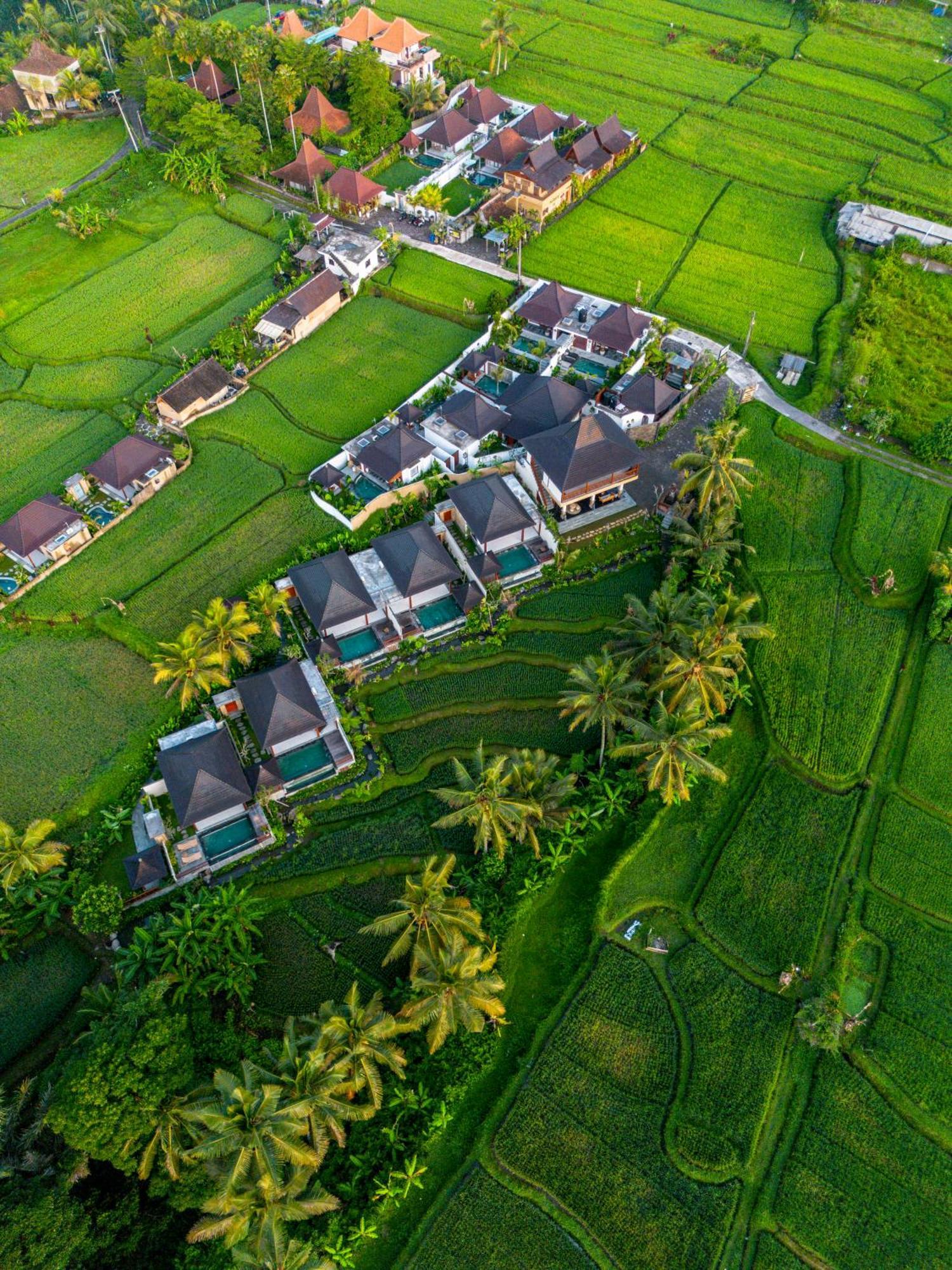Dewi Kunti Villa Tegallalang  Exterior photo